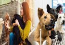 Expert Tips for Choosing the Right Dog for Adoption