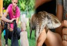 How to Socialize and Train Your Exotic Pet Effectively