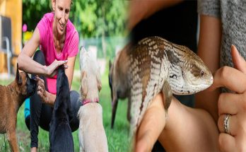 How to Socialize and Train Your Exotic Pet Effectively